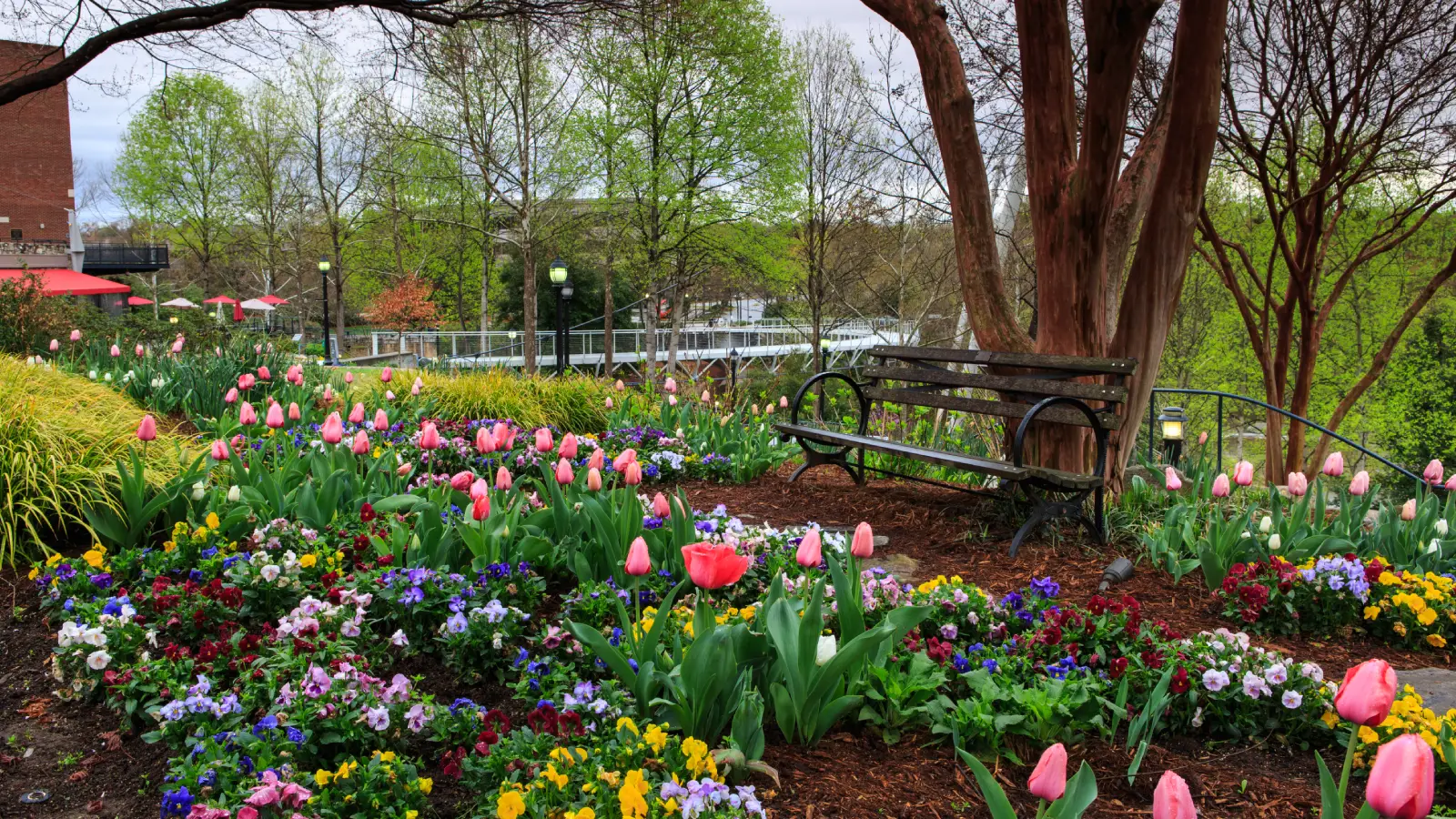 Peaceful Garden Retreat Peaceful Garden Retreat